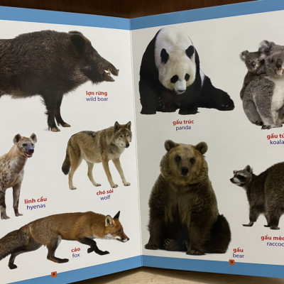 Combo 02 cuốn từ điển bằng hình song ngữ: Loài vật quanh em; hoa quả rau củ