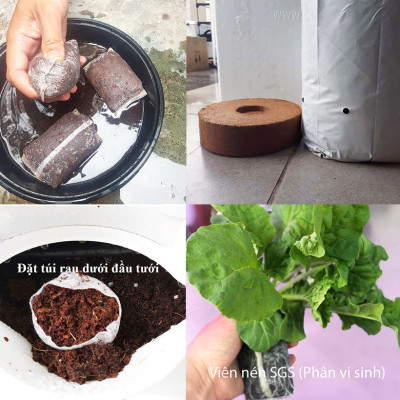 08 Chậu trồng rau thông minh Không thay đất Vertical (màu trắng) nhập khẩu Bồ Đào Nha kèm bộ tưới nhỏ giọt và bón phân Bán tự động (khu vực Không có vòi cấp)