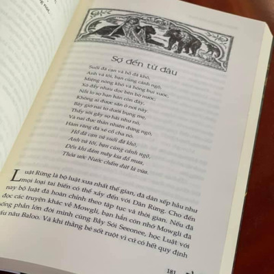 CHUYỆN RỪNG XANH (Bìa mềm)