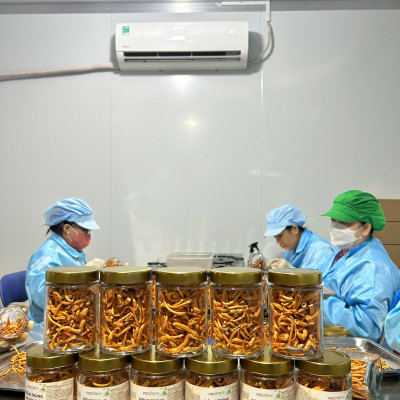 Combo 3 Lọ khô 30gram Đông trùng hạ thảo sấy [Mua 2 được 3] lọ thủy tinh