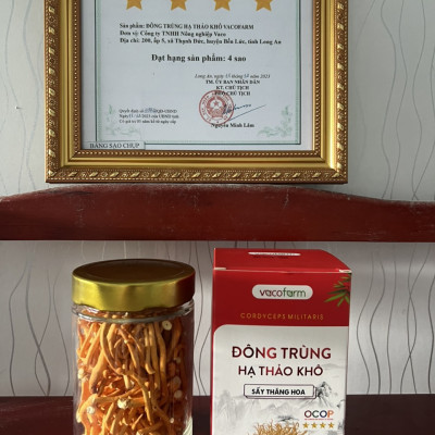 Combo 3 Lọ khô 30gram Đông trùng hạ thảo sấy [Mua 2 được 3] lọ thủy tinh