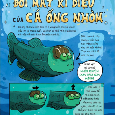 Siêu Nhí Khám Phá Đại Dương