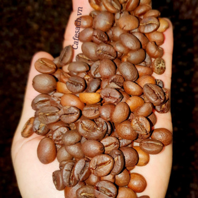 Cà Phê Sạch Cafesach Đắk Lộc 2, Cà Phê Vì Sức Khỏe, Gói 500 Gram