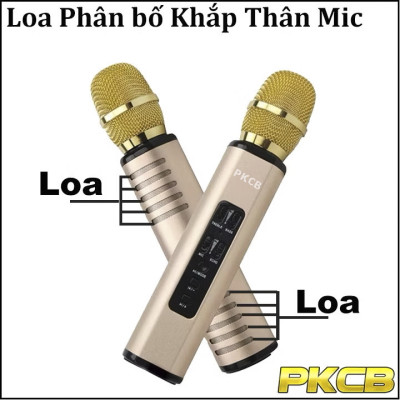 Micro karaoke kèm Loa bluetooth nhập khẩu cao Cấp Cắm thẻ nhớ 3 trong 1 Hàng chính hãng