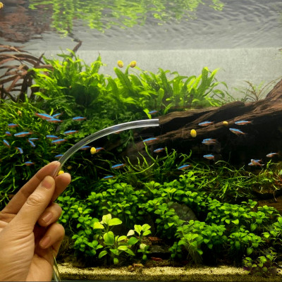 2 Mét dây sủi và 2 đá sủi oxy, quả sủi oxy dùng cho Máy sủi oxy, Máy sục khí - Tăng lượng khí oxy bể cá - Giúp cá lớn nhanh, phát triển mạnh ( Trắng - Đen)