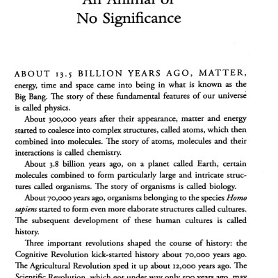 Sapiens : A Brief History Of Humankind