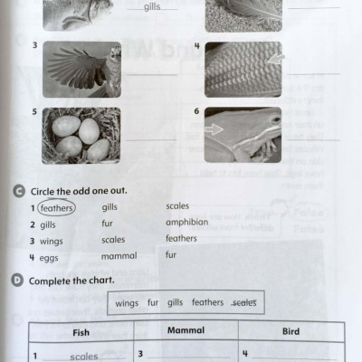 Oxford Discover: Level 2: Workbook With Online Practice - 2nd Edition