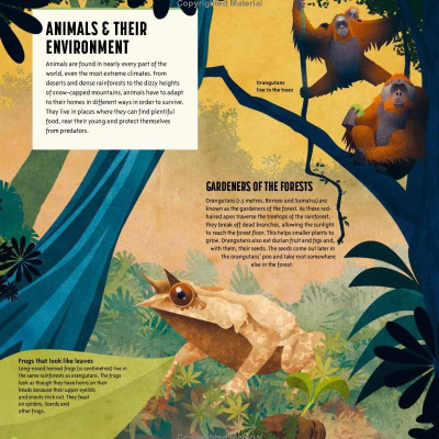 Amazing Animals: 100+ Creatures That Will Boggle Your Mind