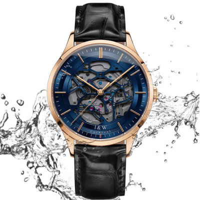 Đồng hồ nam chính hãng IW CARNIVAL IW524G-1 Kính sapphire ,chống xước ,Chống nước 30m ,Bảo hành 24 tháng,Máy cơ (Automatic),dây da cao cấp, thiết kế đơn giản dễ đeo