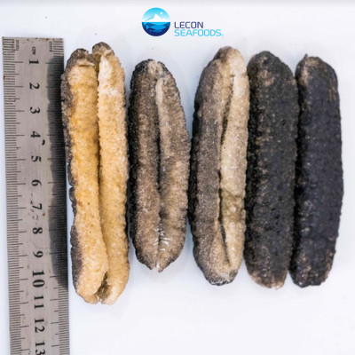 Hộp Quà Hải Sâm Cát 10con/hộp