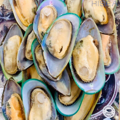 Vẹm Xanh New Zaeland (Size 20 - 30 con) - 1kg