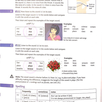 English Pronunciation in Use Int Bk w Ans & d/l Audio