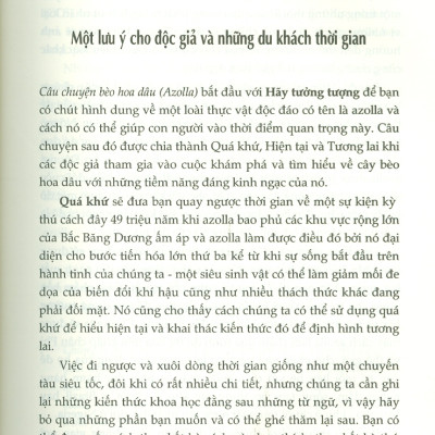 Câu Chuyện Bèo Hoa Dâu AZOLLA - Một Thông Điệp Từ Tương Lai