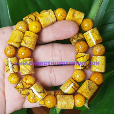 Vòng san hồ vàng đốt trúc