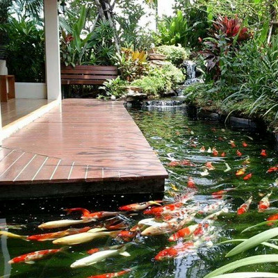 Đèn UV 100W Bóng Kép chất lượng cao, diệt tảo, diệt khuẩn cho bể cá, hồ cá, hồ thủy sinh siêu sạch( Trắng) - UV FORTDI