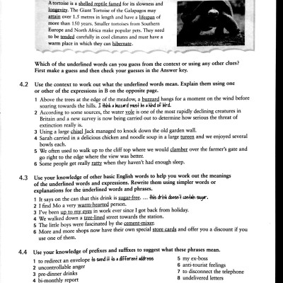 English Vocabulary in Use: Upper-Intermediate Book with Answers Reprint Edition: Vocabulary Reference and Practice