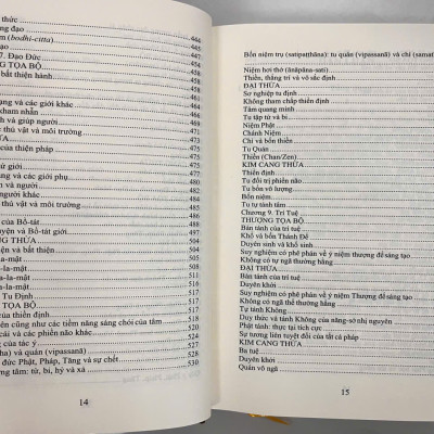 Sách - Phật Điển Phổ Thông - Dẫn Vào Tuệ Giác - Bìa cứng