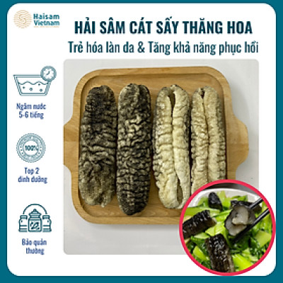 Hải Sâm Cát Supper VIP Làm Sạch-Sấy Thăng Hoa ( Túi 2 con) I Giàu Collage Type 1-Trẻ Hóa Làn Da, Phục Hồi Vết Thương Nhanh