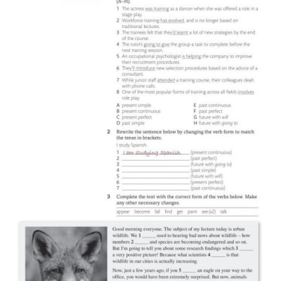 Expert IELTS 7.5 Student