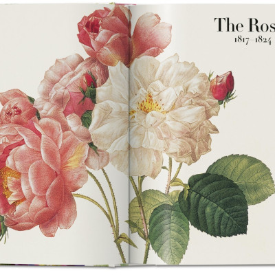 Artbook - Sách Tiếng Anh - Book Of Flowers