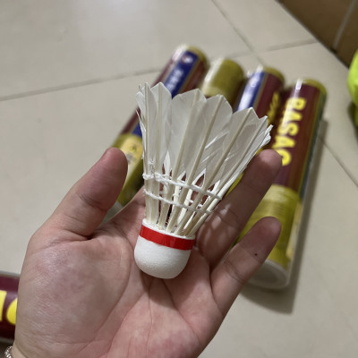 Hộp 10 quả cầu lông 3sao tập luyện, quả cầu lông rèn luyện sức khỏe tại nhà giá rẻ