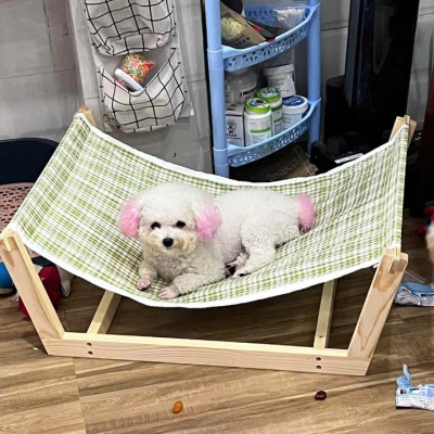 Võng cho thú cưng siêu cute