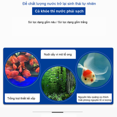 Sứ Lọc Hồ Cá 4.5/5KG vật liệu lọc nước bể cá cảnh, hồ thủy sinh cao cấp 