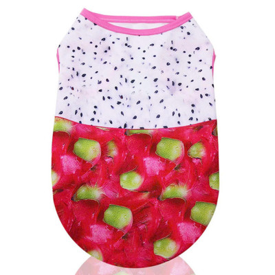 ÁO QUẢ THANH LONG DỄ THƯƠNG CHO THÚ CƯNG CHÓ MÈO