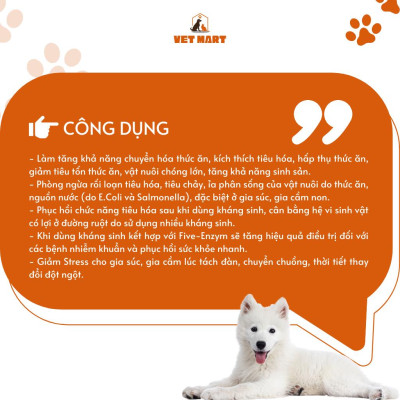 [1KG] Five Enzym CKS - KÍCH THÍCH ham ăn, cải thiện đường ruột tiêu hóa tốt cho GIA SÚC, GIA CẦM, CHÓ MÈO_Fivevet
