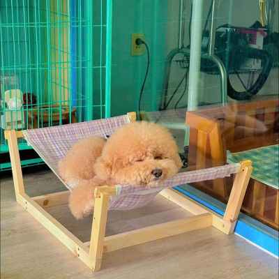 Võng cho thú cưng siêu cute