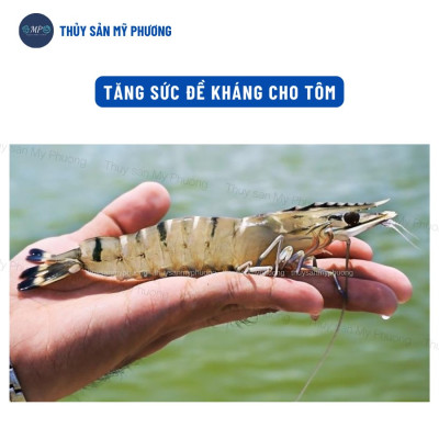 Siêu tăng trọng đạm thủy phân nông to đường ruột Aqua Gainl chắc thịt nặng cân kích thích ăn nhiều cho tôm thẻ cá lươn ếch ốc