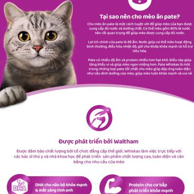 Pate Cho Mèo Con Vị Cá Ngừ Whiskas Kitten Hộp 12 Gói 80g 