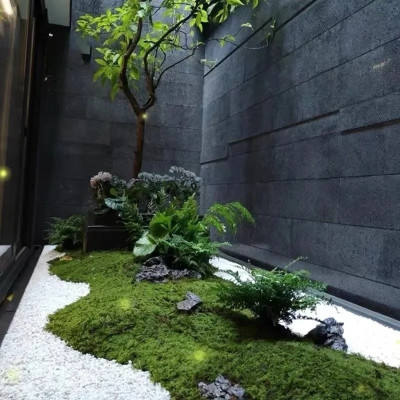 Thảm rêu giả làm tường sen đá, tiểu cảnh - Cây giả, hoa lụa Decor trang trí nhà cửa