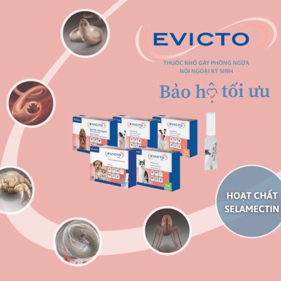 Virbac Evicto phòng bọ chét, rận tai, giun chó mèo (sản xuất tại Pháp)