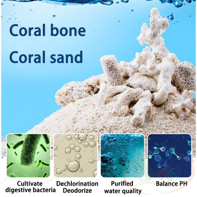 San hô KaoKui Reef Bones vật liệu lọc coral vụn tăng pH nước bể cá tép