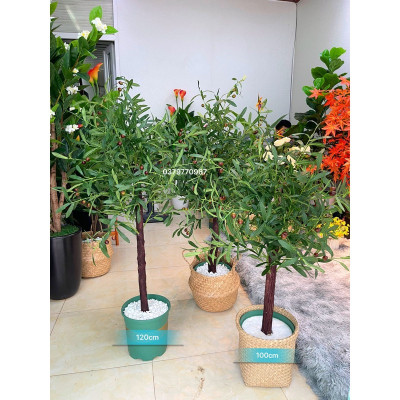 Cây oliu giả - thân gỗ - Size từ 80cm đến 130cm - Cây giả, hoa lụa Decor trang trí nhà cửa