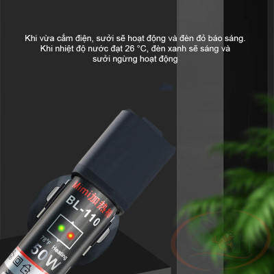 Sưởi QuanLong Mini Heating Rod 25W, 50W làm ấm nước bể cá tép thủy sinh nano