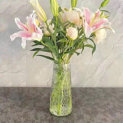 Lọ Hoa Thủy Tinh Trong Suốt & Bình Thủy Tinh Hổ Phách Cắm Hoa Trang Trí Nhà Cửa - HÀNG CHÍNH HÃNG MINIIN