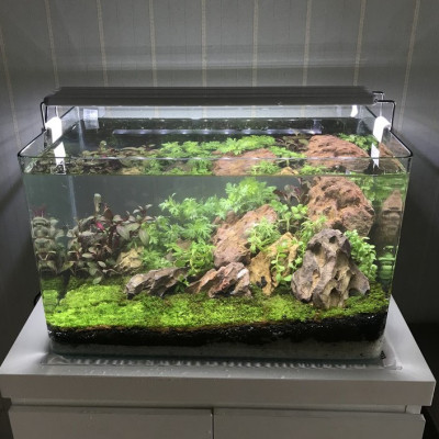 Máy lọc nước bể cá Vipsun Fish AP  303H - 5W 300l/h- Lọc thác, có lọc váng, hoạt động êm ái, Dùng cho hồ 40cm trở xuống.