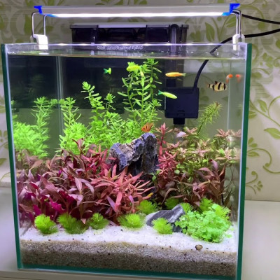 Máy lọc nước bể cá Vipsun Fish AP  303H - 5W 300l/h- Lọc thác, có lọc váng, hoạt động êm ái, Dùng cho hồ 40cm trở xuống.