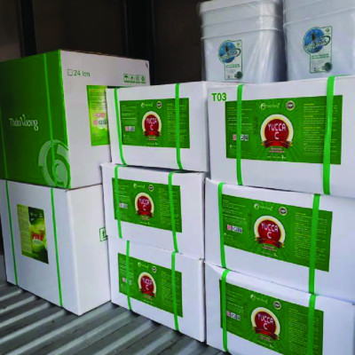 Hấp thụ khí độc ao tôm YUCCA C