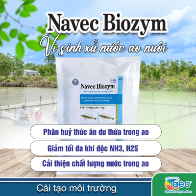 NAVEC BIOZYM – Chế phẩm vi sinh hỗ trợ cải thiện chất lượng nước và đáy ao nuôi tôm