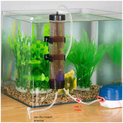 Bộ lồng ấp artemia Incubator Brine Shrimp Eggs nâng cấp ấp nở trứng artemia cho cá cảnh