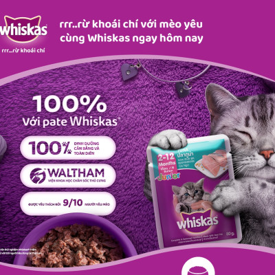 Pate Cho Mèo Con Vị Cá Thu Whiskas Kitten Hộp 12 Gói 80g