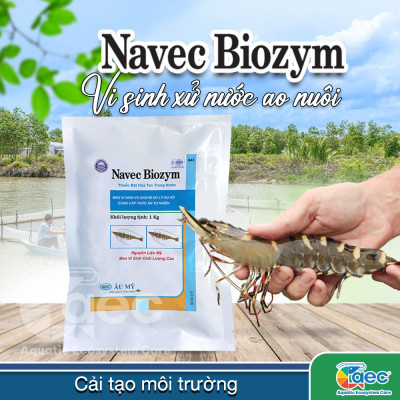 NAVEC BIOZYM – Chế phẩm vi sinh hỗ trợ cải thiện chất lượng nước và đáy ao nuôi tôm