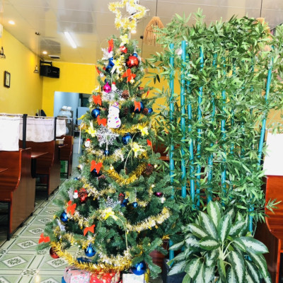 Cây thông noel màu xanh cao 2m - Cây cao cấp tán dày và rộng