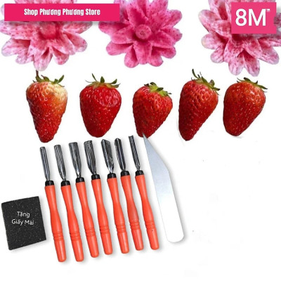 Bộ Tỉa Rau Củ Nghệ Thuật , Dao Tỉa Củ Quả (COMBO 8 MÓN )- Sản phẩm đẹp sắc sảo. Đồ Gia Dụng nhà bếp pha chế làm bánh nguyên liệu