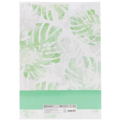 Combo 5 Tập Sinh Viên 4 Ly Ngang - 120 Trang 80gsm - Elephant FI622565 (Mẫu Màu Giao Ngẫu Nhiên)