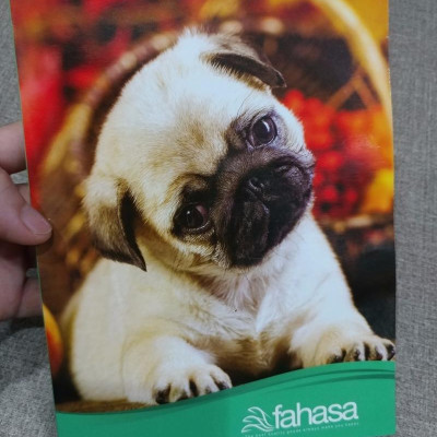 Tập 4 Ly Ngang 200 Trang ĐL 60g/m2 - FAHASA (Mẫu Màu Giao Ngẫu Nhiên)