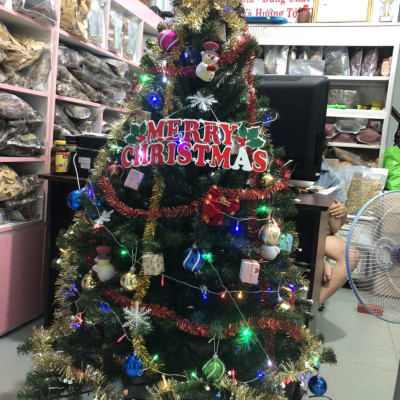 Cây thông noel 3 loại lá gắn trái đỏ cao 150cm